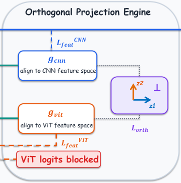 Representative image for OrthKD: Extracting Generalized Clinical Knowledge from Heterogeneous Teachers for Lightweight Deployment