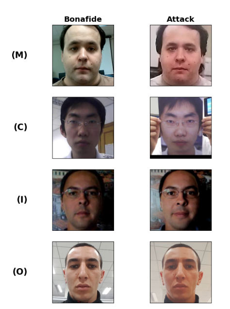 Representative image for Foundation Models for Face Presentation Attack Detection: A Unified Linear-Probing Benchmark
