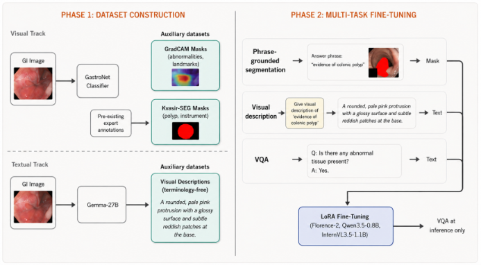 Representative image for Towards Grounded GI Endoscopy VQA via Multi-Task Learning on Small VLMs