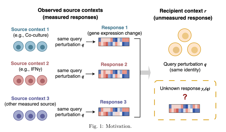 Representative image for PerturbMap: Cross-Context Transfer of Single-Cell Perturbation Responses