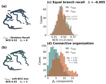 Representative image for Same Branches, Different Trees: A Bifurcation Connectedness Metric for Coronary Artery Segmentation and FFR-CT Decision Agreement