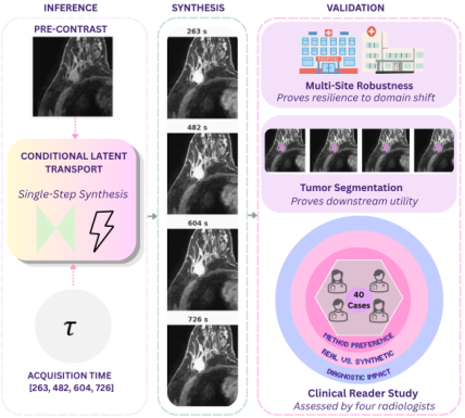 Representative image for Dense Temporal Contrast Synthesis via Conditioned Latent Transport