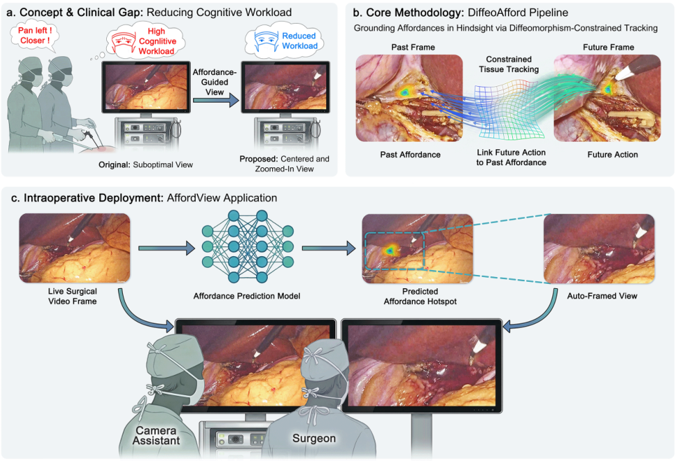 Representative image for Action-grounded tissue affordance enables anticipatory auto-framing that lowers surgeon cognitive workload during laparoscopic surgery