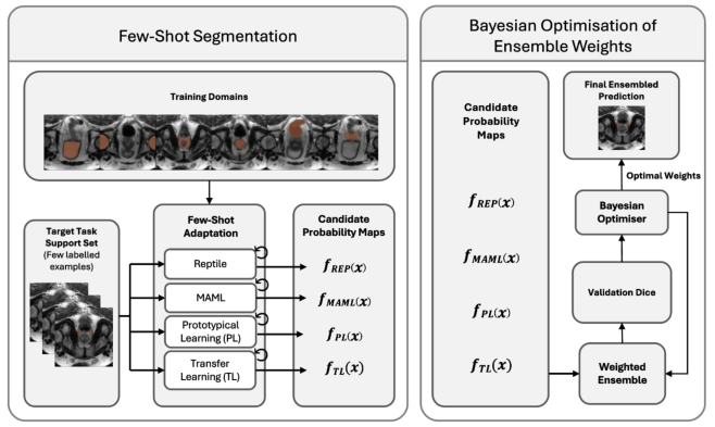 Representative image for Bayesian adaptively-weighted ensembles for few-shot abdominal segmentation