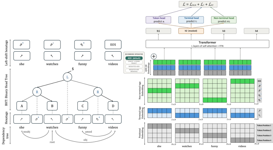 Representative image for Beyond Sequence Order: Syntax-Informed Positional Embeddings for Transformers