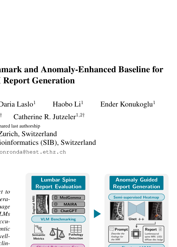 Representative image for Beyond Fluency: A Clinical Benchmark and Anomaly-Enhanced Baseline for Spine MRI Report Generation