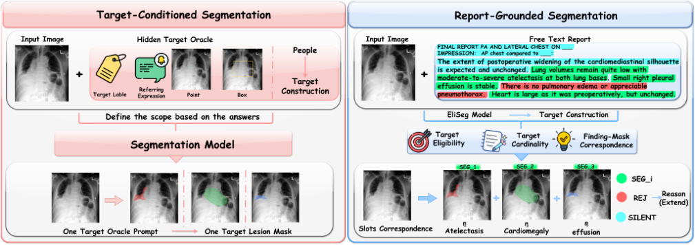Representative image for EliSeg: Verified Target Construction for Report-Grounded Abnormality Segmentation