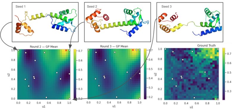 Representative image for How to Spend Your Oracle Budget: Practical Guidance for Protein Structure Prediction Models