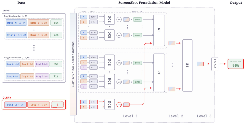 Representative image for ScreenShot: A Foundation Model for Few-Shot Combination Drug Screening