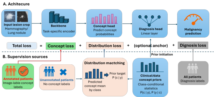 Representative image for Less Annotation, More Interpretation: Prior-Guided Concept Bottleneck Models for Interpretable Cancer Imaging Diagnosis