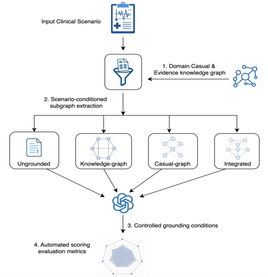 Representative image for Grounding Healthcare LLMs in a Causal Knowledge Graph: Framework, Metrics, and a Cardiovascular Pilot