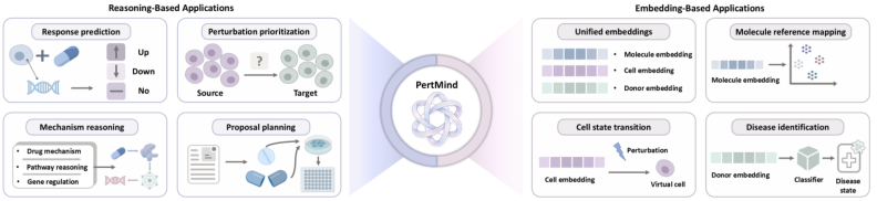 Representative image for PertMind: Eliciting Emergent Biological Reasoning in LLM via Reinforcement Learning on Cellular Perturbation Data