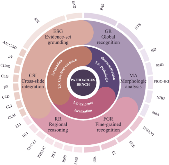 Representative image for PathoArgus: Advancing Evidence-Grounded Long-Context Visual Reasoning across Gigapixel Whole-Slide and Multi-Slide Case Contexts