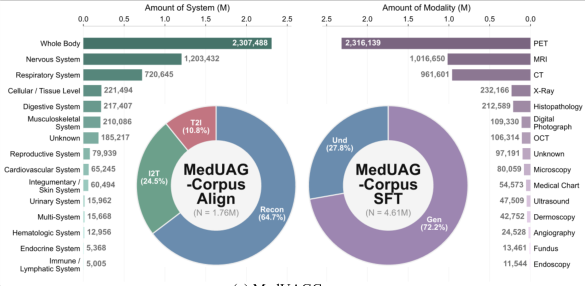 Representative image for MedUAG: Unified Understanding and Generation for Medical Multimodal Models
