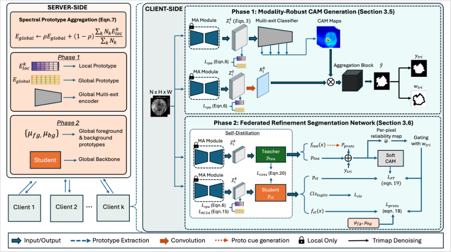 Representative image for MOSAIC: Modality-agnostic Spectral Alignment for Federated Image-level Weakly Supervised Tumor Segmentation under Client-specific Missing Modalities
