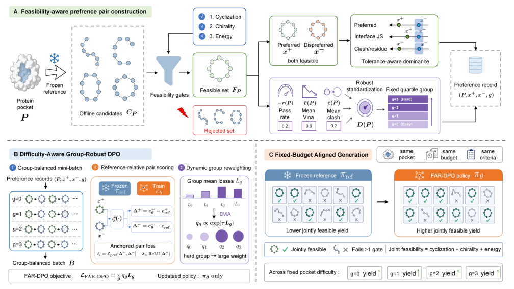 Representative image for FAR-DPO: Feasibility-Aware and Robust Direct Preference Optimization for Cyclic Peptide Design