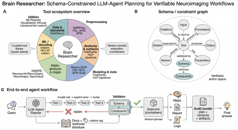 Representative image for Bringing analytic rigor to agentic AI for science: The Brain Researcher platform for neuroimaging data analysis