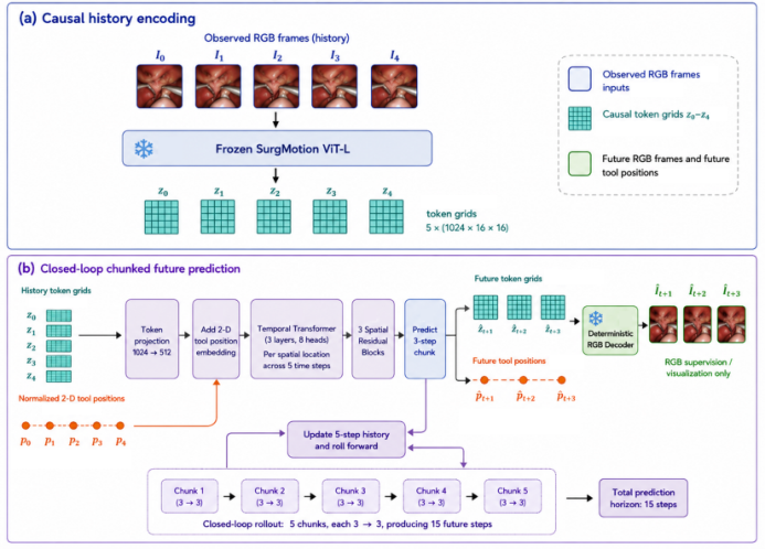 Representative image for Towards Surgical World-Action Modeling: A Preliminary Joint Visual-Trajectory Forecasting for Surgical Motion Planning
