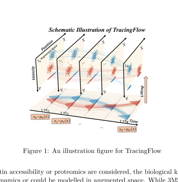 Representative image for TracingFlow: A Simulation-Free Trajectory Inference Framework Based on Second-Order Dynamics