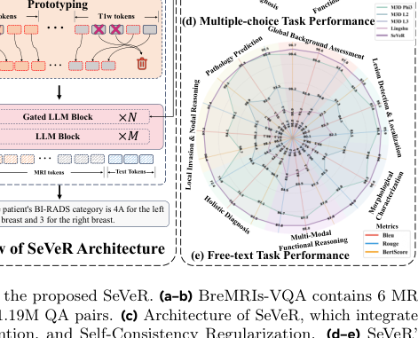 Representative image for SeVeR: Selective Visual Exposure and Retrieval for 3D Medical Image Question Answering
