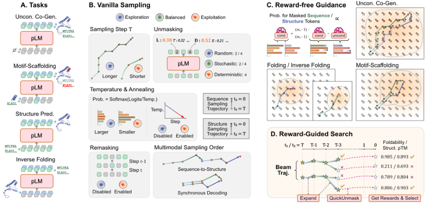 Representative image for Unlocking Multimodal Protein Language Models at Inference Time