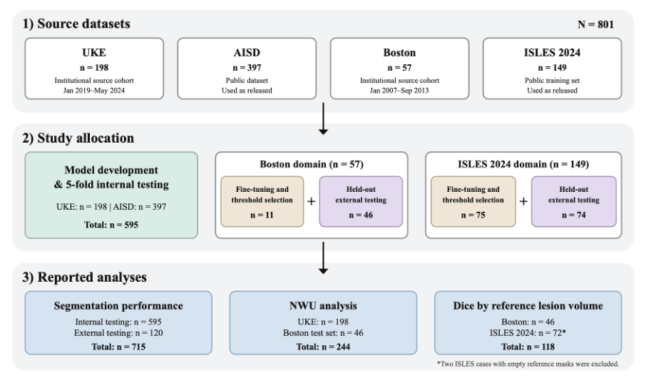 Representative image for Ischemic Stroke Segmentation and Net Water Uptake Quantification on Multicenter Non-Contrast CT Using Supervised Target-Domain Adaptation