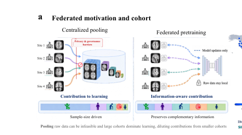 Representative image for A generalizable structural brain MRI foundation model built through dual-priority federated pretraining
