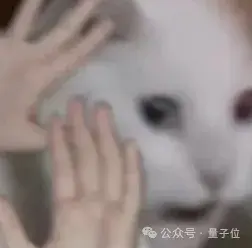 Representative image for PDF当死，ARA该立！论文是时候Agent原生了