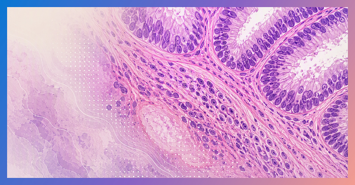 Representative image for Can AI learn pathology through clinical dialogue? Introducing PRISM2, a multimodal foundation model…