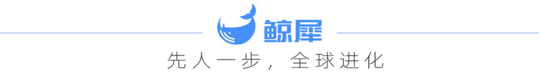Representative image for 独家丨联手千问AI大牛 ，觅光联创郦轲杀入女性AI健康硬件江湖